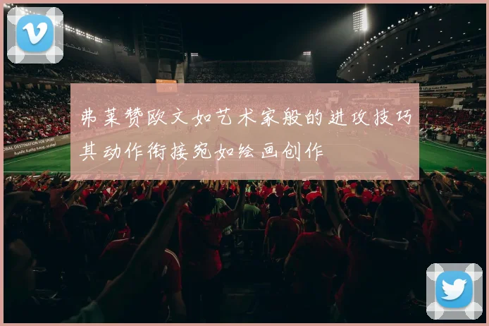 弗莱赞欧文如艺术家般的进攻技巧其动作衔接宛如绘画创作