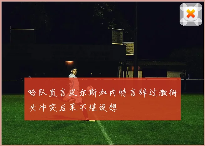 哈队直言皮尔斯加内特言辞过激街头冲突后果不堪设想