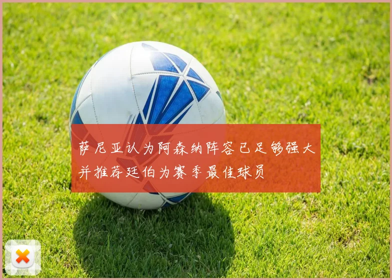 萨尼亚认为阿森纳阵容已足够强大并推荐廷伯为赛季最佳球员